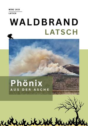 Waldbrand Latsch Qr Code Infotafel Samuel Leiter