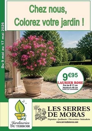 Dossier Sem19 2026