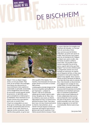 Lnm91 8 Pages Bischheim Bat2