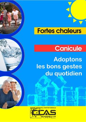 Veille Sociale Guide Pratique