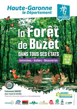 Fête De Buzet - Affiche