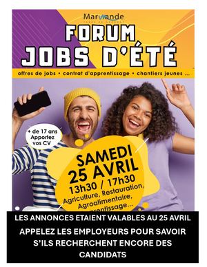 Annonces Jobs D'été 2026