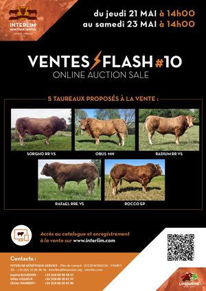 Catalogue Ventes Flash #10