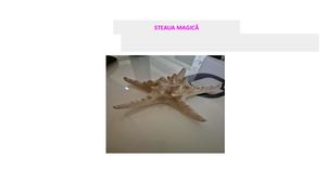 Steaua Magică