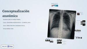 Radiografías En Radiología