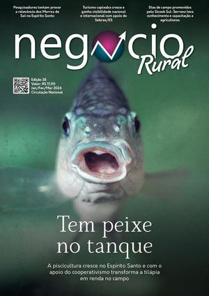 Revista Negócio Rural Ed 38