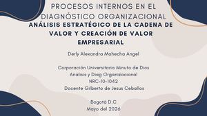 Procesos Internos En El Diagnóstico Organizacional (1)
