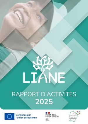 Rapport Activites Liane 2025
