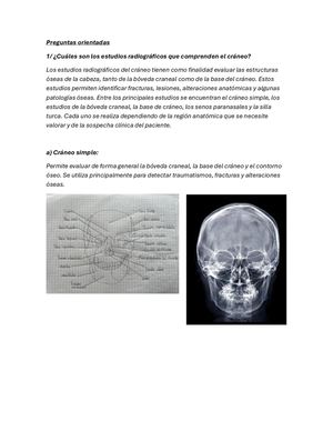 Reconocimiento y presentación anatómica