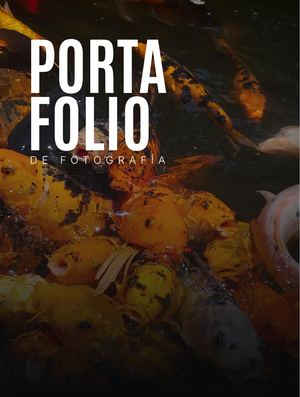 Portafolio Fotografía Meiling Méndoza
