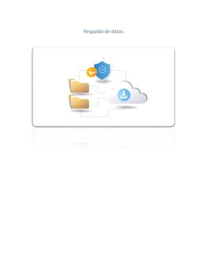 Respaldo De Datos