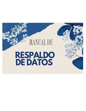 Manual de Respaldo De Datos