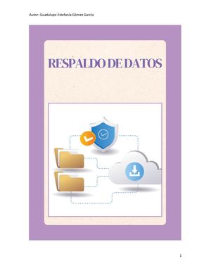 Respaldo De Datos