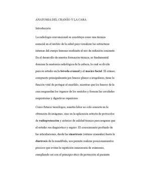Anatomia Del Craneo Y Cara