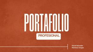 Portafolio Profesional
