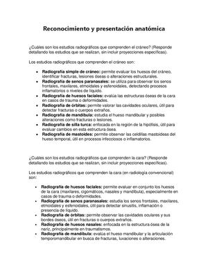 Libro Calameo