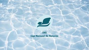 Manual De Identidad Lna