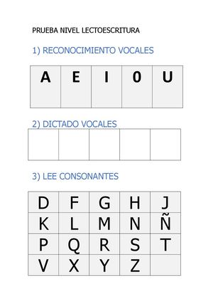 Prueba Nivel Lectoescritura Inicial