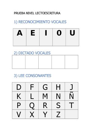 Prueba Nivel Lectoescritura Inicial