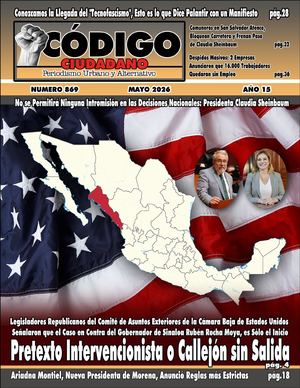 CODIGO CIUDADANO 869
