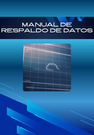 Manual De Respaldo De Datos