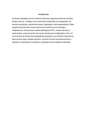 miembros inferiores (pie)