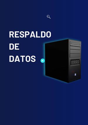 Manual Respaldo Datos Pdf