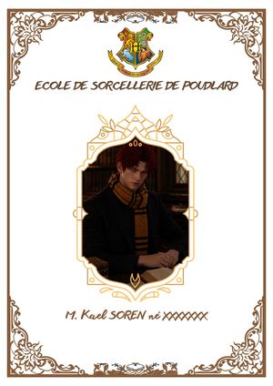 Dossier : M Kael Soren Né Xxxxxxx