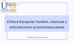 Radiologia Convencional