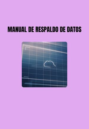 Manual De Respaldo De Datos