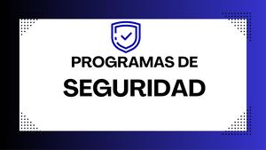 09 Programas De Seguridad 2 Pdf