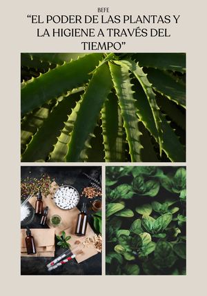 Copia De Revista Catalogo Floristería Moderno Beige 20260323 174659 0000