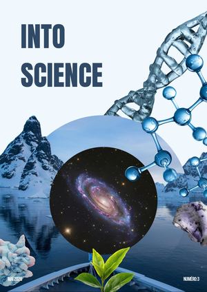 INTO JOURNAL - SCIENCE, Volume:2, Numero:3