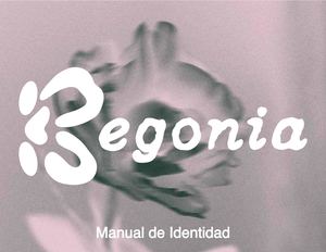Manual De Identidad Begonia