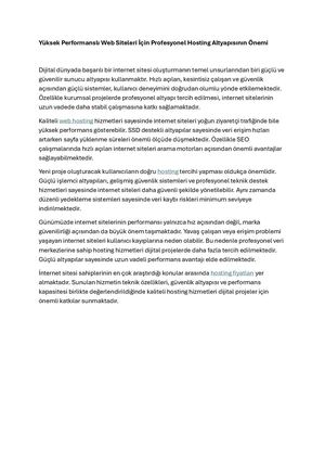 Yüksek Performanslı Web Siteleri İçIn Profesyonel Hosting Altyapısının ÖNemi