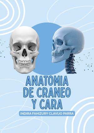 Anatomia Del Craneo Y Cara