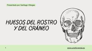 Huesos del Rostro Y del Cráneo