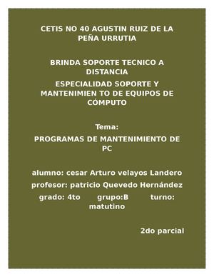 Programas Mantenimiento (1)