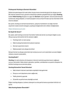 Profesyonel Hosting Ve Domain Hizmetleri