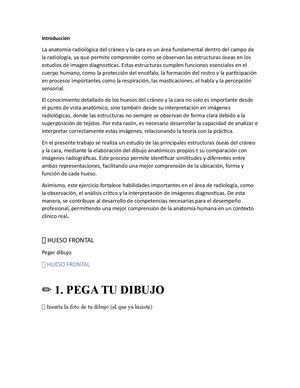 Anatomía radiológica del craneo