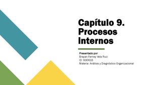 Capítulo 9 Analisis Org