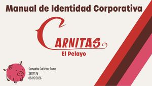 Manual De Identidad Corporativa