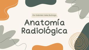 T4 Anatomía Radiológica