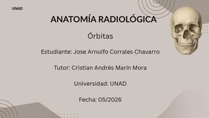 Diapositiva Orbita, Anatomía Radiológica De ÓRbitas (1)
