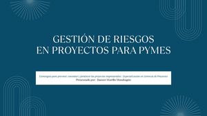 Gestión De Riesgos Para Pymes