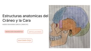 Estructuras Anatomicas Del Craneo Y La Cara Pdf (1)