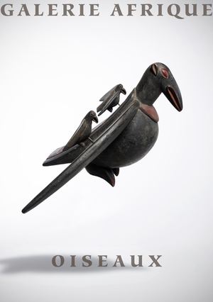 Oiseaux d'Afrique