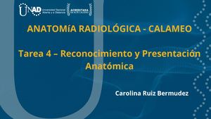 Calameo Tarea 4 Anatomia Radiologica