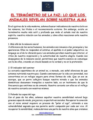 El Termómetro De La Paz