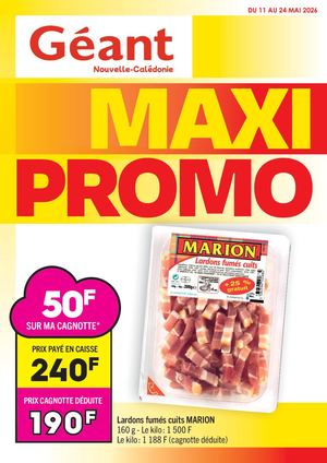 MAXI PROMO CHEZ GEANT
